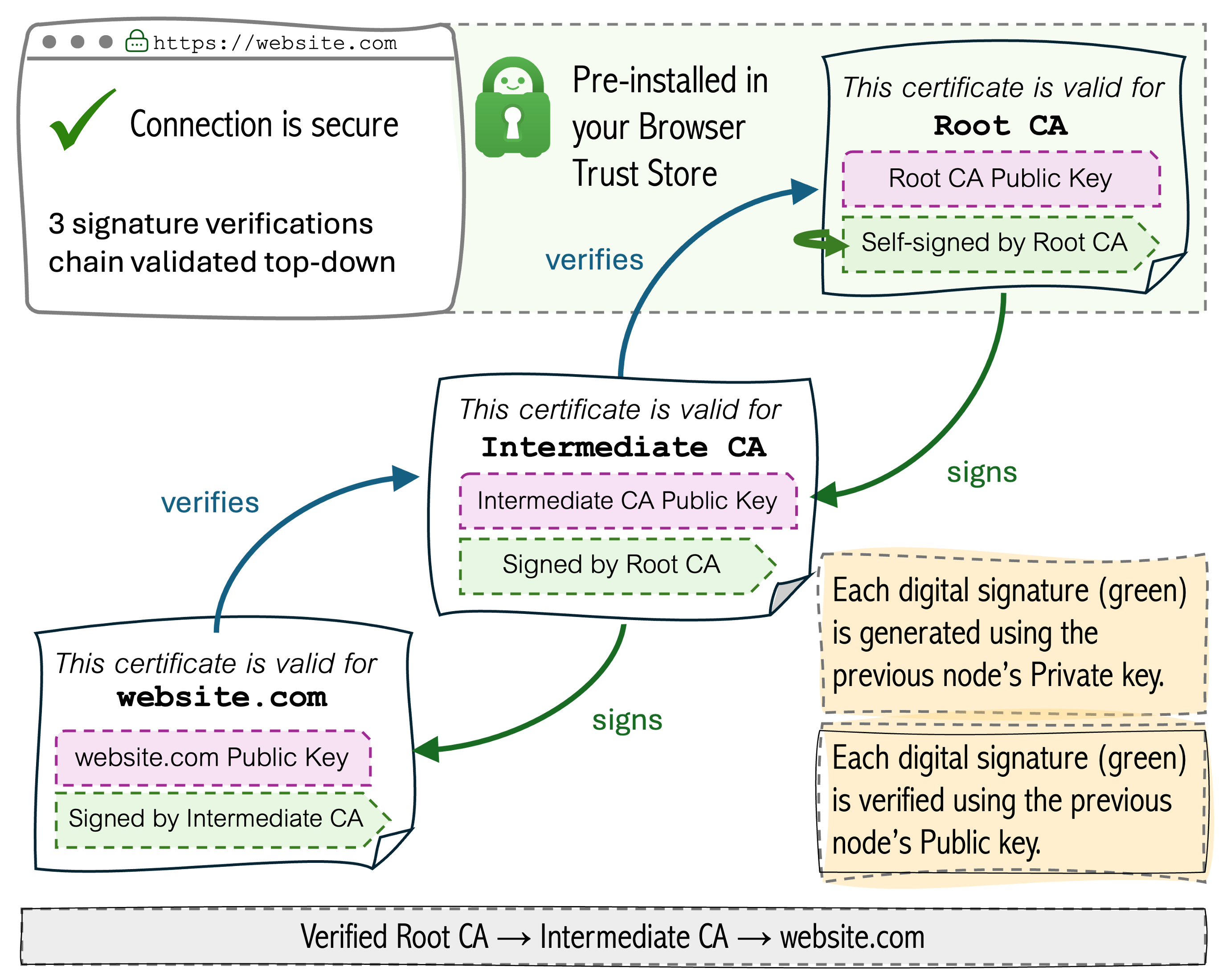 X.509 Chain of Trust: Browser verifies top-down from Root CA to leaf certificate