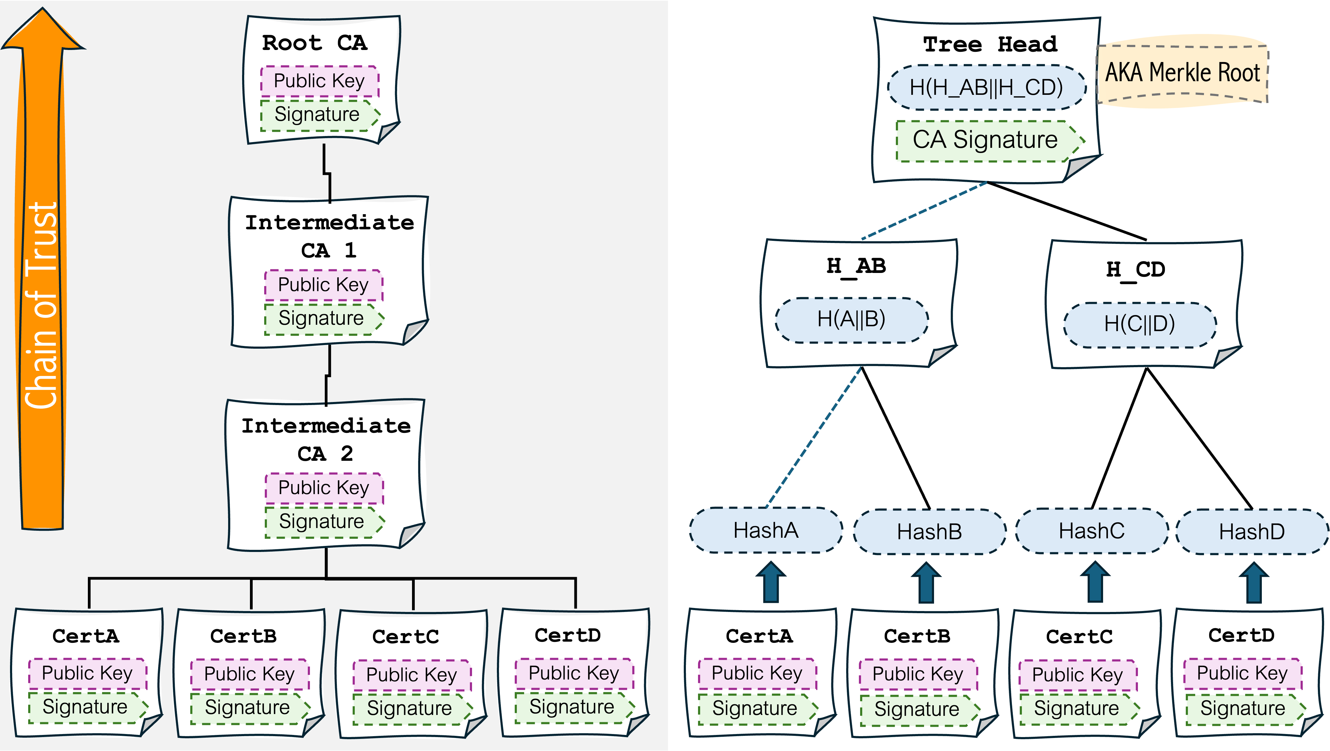X.509 vs MTC side-by-side: X.509 chain of signatures (left) vs Merkle Tree Certificate Structure (right)